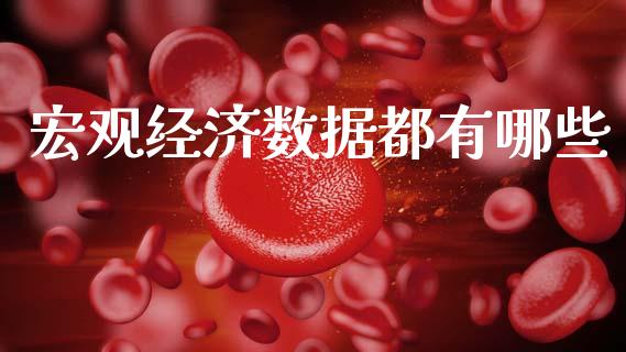 宏观经济数据都有哪些_https://m.fsyjjx.cn_股指期货保证金_第1张