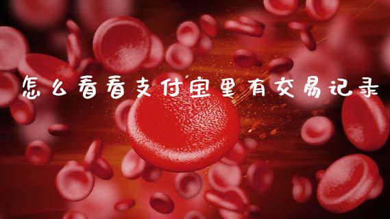 怎么看看支付宝里有交易记录_https://m.fsyjjx.cn_股指期货保证金_第1张