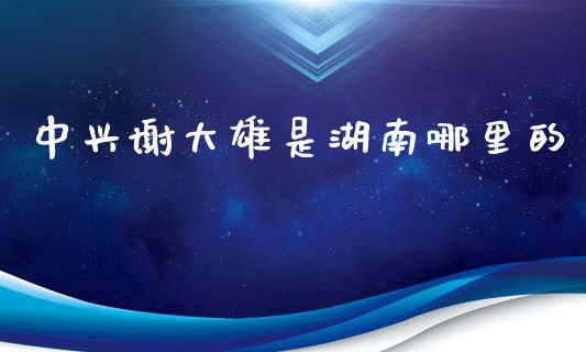 中兴谢大雄是湖南哪里的_https://m.fsyjjx.cn_期货如何开户_第1张