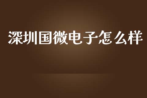 深圳国微电子怎么样_https://m.fsyjjx.cn_期货如何开户_第1张