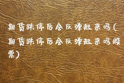 期货跌停后会反弹起来吗(期货跌停后会反弹起来吗股票)_https://m.fsyjjx.cn_股指期货保证金_第1张