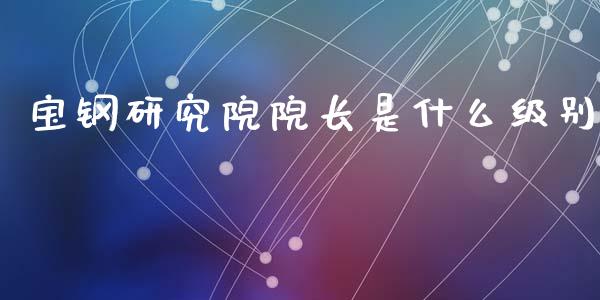 宝钢研究院院长是什么级别_https://m.fsyjjx.cn_期货保证金_第1张