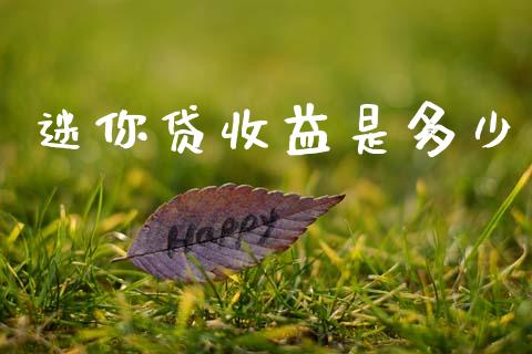 迷你贷收益是多少_https://m.fsyjjx.cn_期货保证金计算_第1张