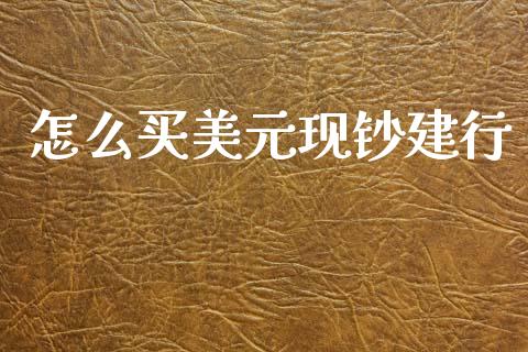 怎么买美元现钞建行_https://m.fsyjjx.cn_期货保证金计算_第1张