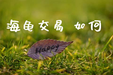 海龟交易 如何_https://m.fsyjjx.cn_期货保证金计算_第1张