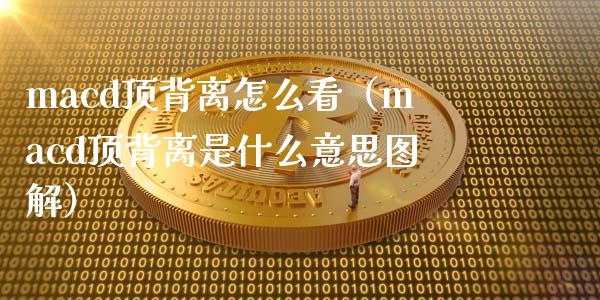 macd顶背离怎么看（macd顶背离是什么意思图解）_https://m.fsyjjx.cn_期货如何开户_第1张