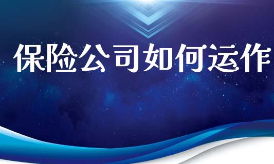 保险公司如何运作_https://m.fsyjjx.cn_期货如何开户_第1张