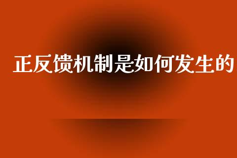 正反馈机制是如何发生的_https://m.fsyjjx.cn_期货保证金计算_第1张