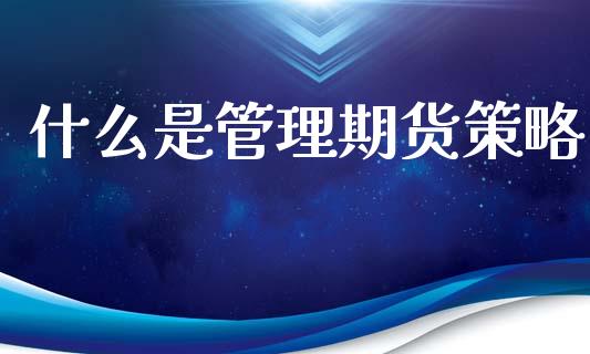什么是管理期货策略_https://m.fsyjjx.cn_股指期货保证金_第1张