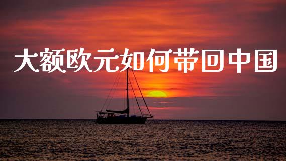 大额欧元如何带回中国_https://m.fsyjjx.cn_期货保证金计算_第1张