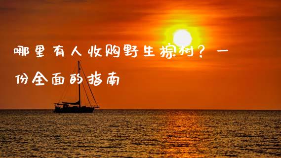 哪里有人收购野生棕树？一份全面的指南_https://m.fsyjjx.cn_期货保证金计算_第1张