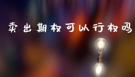 卖出期权可以行权吗_https://m.fsyjjx.cn_期货保证金计算_第1张