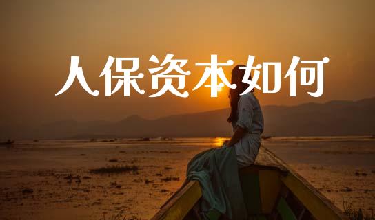 人保资本如何_https://m.fsyjjx.cn_股指期货保证金_第1张