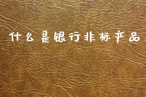 什么是银行非标产品_https://m.fsyjjx.cn_期货如何开户_第1张
