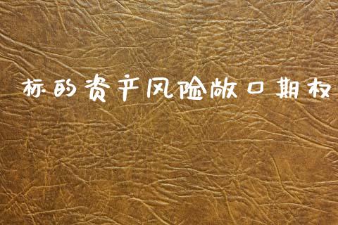 标的资产风险敞口期权_https://m.fsyjjx.cn_期货保证金_第1张