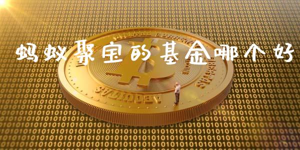 蚂蚁聚宝的基金哪个好_https://m.fsyjjx.cn_股指期货保证金_第1张