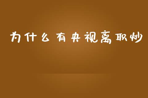 为什么有央视离职炒_https://m.fsyjjx.cn_期货如何开户_第1张