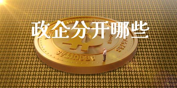 政企分开哪些_https://m.fsyjjx.cn_期货保证金_第1张