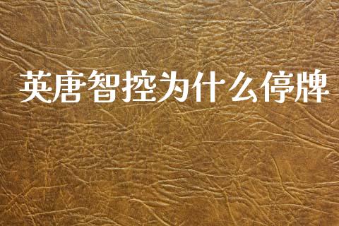英唐智控为什么停牌_https://m.fsyjjx.cn_期货如何开户_第1张