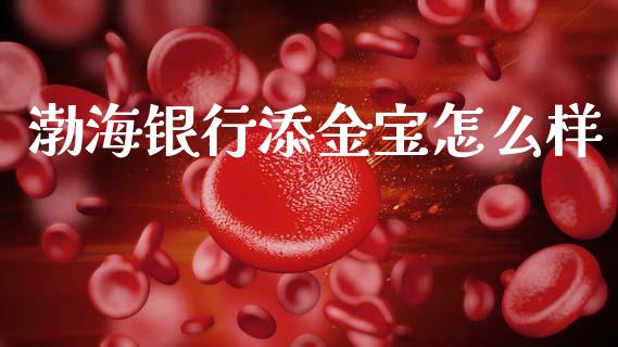 渤海银行添金宝怎么样_https://m.fsyjjx.cn_期货保证金计算_第1张