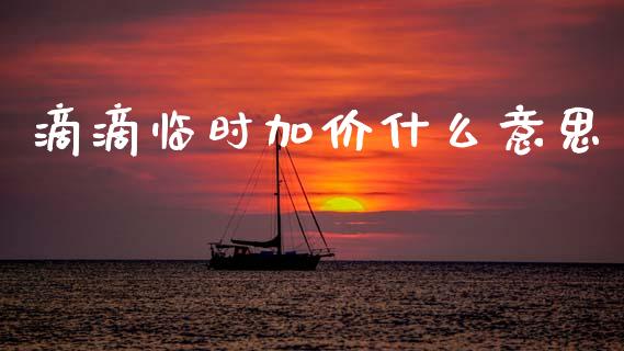滴滴临时加价什么意思_https://m.fsyjjx.cn_期货保证金计算_第1张