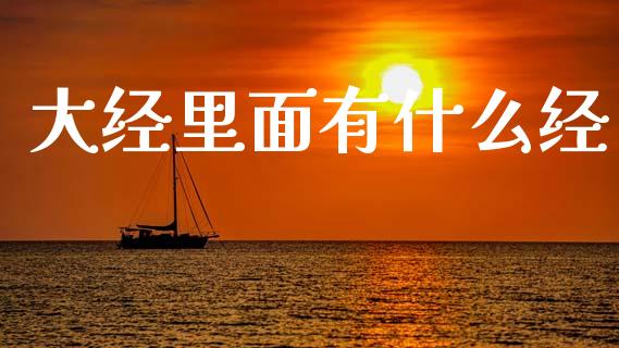 大经里面有什么经_https://m.fsyjjx.cn_期货保证金_第1张
