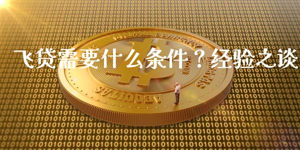 飞贷需要什么条件？经验之谈_https://m.fsyjjx.cn_期货保证金_第1张