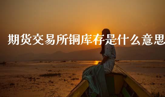 期货交易所铜库存是什么意思_https://m.fsyjjx.cn_期货保证金计算_第1张
