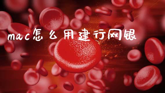 mac怎么用建行网银_https://m.fsyjjx.cn_期货保证金计算_第1张