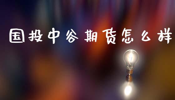 国投中谷期货怎么样_https://m.fsyjjx.cn_期货如何开户_第1张