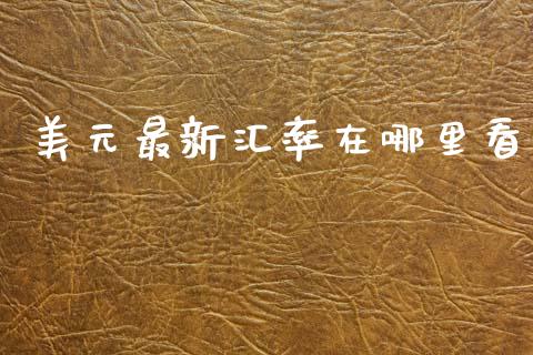 美元最新汇率在哪里看_https://m.fsyjjx.cn_期货如何开户_第1张