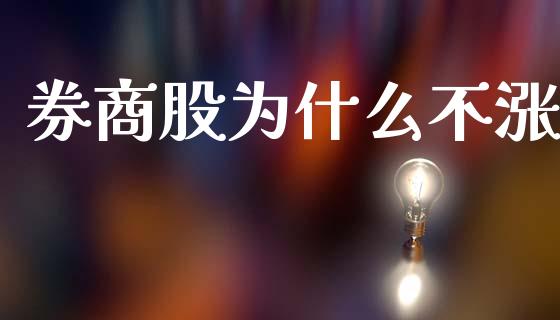 券商股为什么不涨_https://m.fsyjjx.cn_期货保证金_第1张