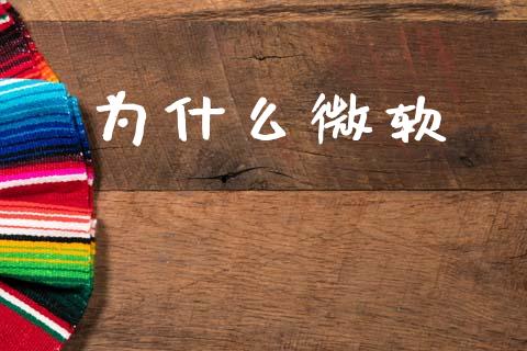 为什么微软_https://m.fsyjjx.cn_期货保证金计算_第1张