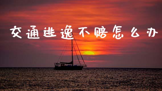 交通逃逸不赔怎么办_https://m.fsyjjx.cn_股指期货保证金_第1张