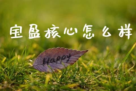 宝盈核心怎么样_https://m.fsyjjx.cn_期货保证金计算_第1张
