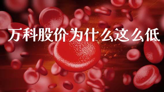 万科股价为什么这么低_https://m.fsyjjx.cn_期货保证金_第1张