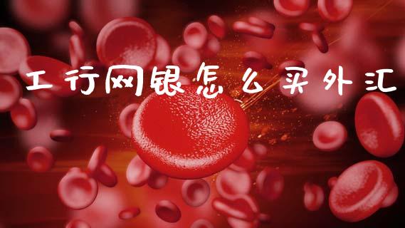 工行网银怎么买外汇_https://m.fsyjjx.cn_期货保证金_第1张
