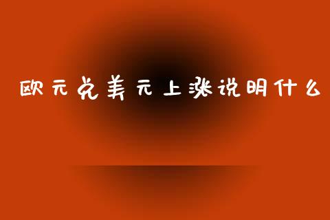 欧元兑美元上涨说明什么_https://m.fsyjjx.cn_股指期货保证金_第1张