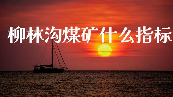柳林沟煤矿什么指标_https://m.fsyjjx.cn_期货保证金_第1张