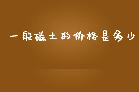 一般磁土的价格是多少_https://m.fsyjjx.cn_期货保证金_第1张