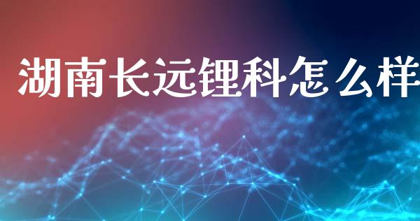 湖南长远锂科怎么样_https://m.fsyjjx.cn_股指期货保证金_第1张