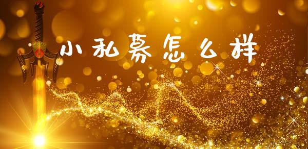 小私募怎么样_https://m.fsyjjx.cn_期货保证金计算_第1张