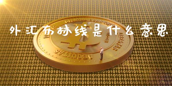 外汇布林线是什么意思_https://m.fsyjjx.cn_期货保证金_第1张