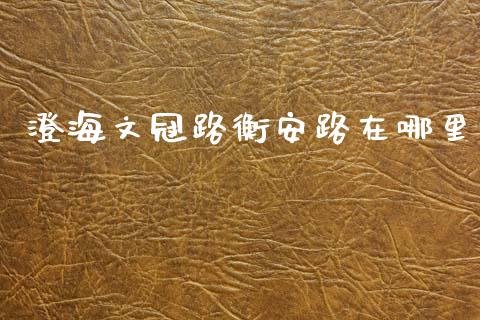澄海文冠路衡安路在哪里_https://m.fsyjjx.cn_期货保证金_第1张