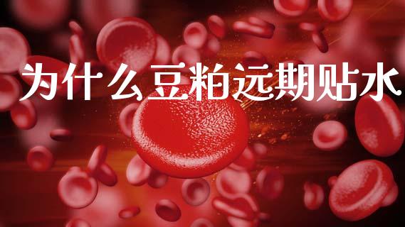 为什么豆粕远期贴水_期货保证金_第1张_期货如何开户_期货保证金_期货保证金计算_股指期货保证金 为什么豆粕远期贴水_https://m.fsyjjx.cn_期货保证金_第1张