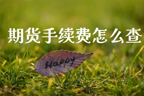 期货手续费怎么查_https://m.fsyjjx.cn_期货保证金_第1张
