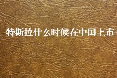 特斯拉什么时候在中国上市_https://m.fsyjjx.cn_股指期货保证金_第1张