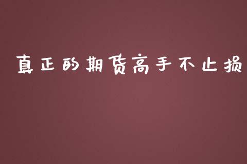 真正的期货高手不止损_https://m.fsyjjx.cn_股指期货保证金_第1张