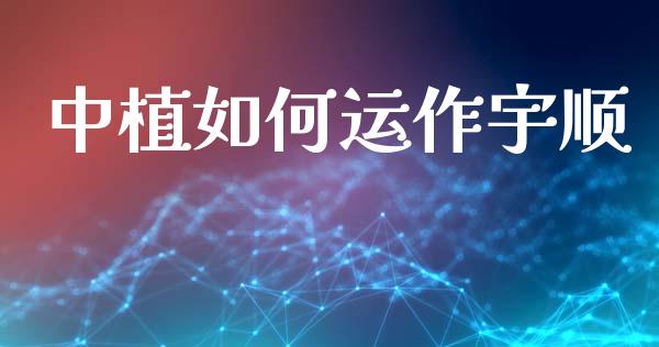 中植如何运作宇顺_https://m.fsyjjx.cn_股指期货保证金_第1张