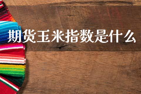 期货玉米指数是什么_https://m.fsyjjx.cn_期货保证金_第1张